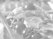 Broich Catering, Catering · Partyservice Düsseldorf, Logo Broich Catering, Catering · Partyservice Düsseldorf, Logo